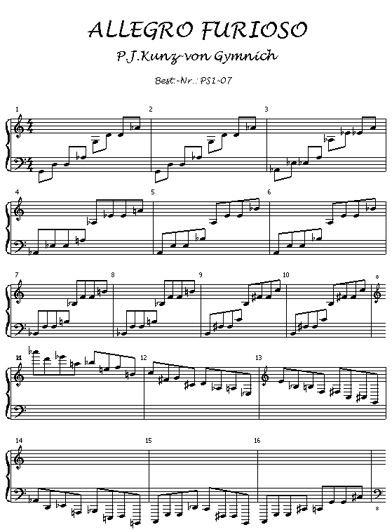 Peter Josef Kunz-von Gymnich : Allegro Furioso