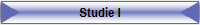 Studie I